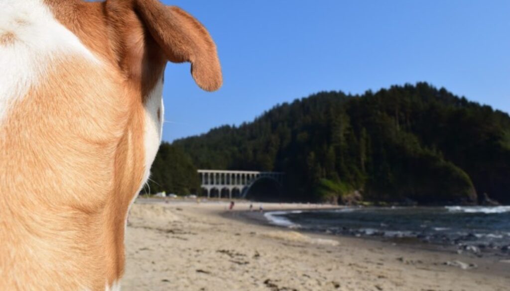 beach17[1]